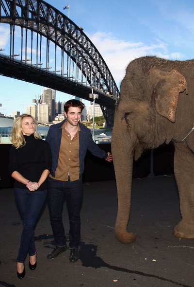 «Воды слонам». Роберт Паттинсон, Риз Уизерспун и Рози на фотосессии фильма «Воды слонам» в Сиднее, Австралия. Фото: Ryan Pierse/Getty Images