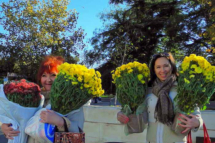 Выставка хризантем в Севастополе. Октябрь 2013 г. Фото: Алла Лавриненко/Великая Эпоха (The Epoch Times)