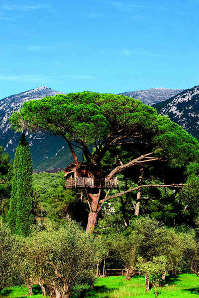 Дом на дереве: возвращение к природе - возвращение к себе