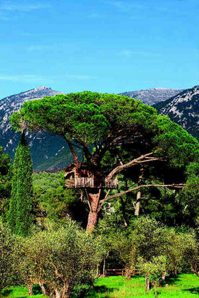 Дом на дереве: возвращение к природе - возвращение к себе