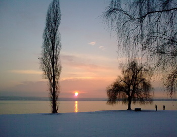 Зима. Фото: Николай Богатырев