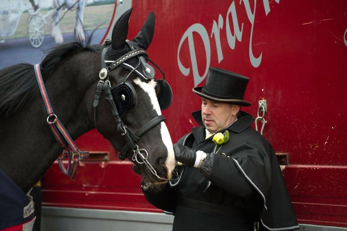 Парад упряжных лошадей прошёл в Лондоне
