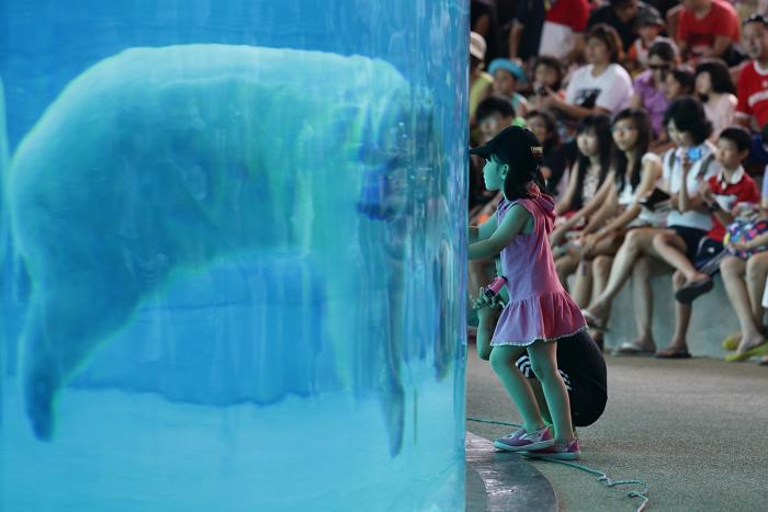 Сингапурский зоопарк отпраздновал 40-летний юбилей