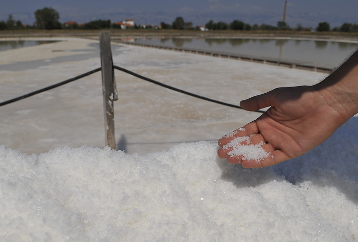 ВОЗ установила новые нормы на потребление соли