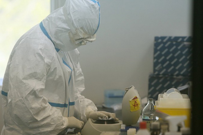 Китайские учёные создали мутанта птичьего гриппа