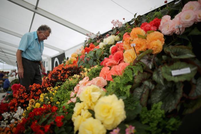 Крупнейший британский фестиваль цветов стартовал в Саутпорте