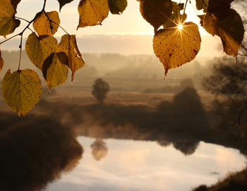 Осенний пейзаж. Фото: РИА Новости