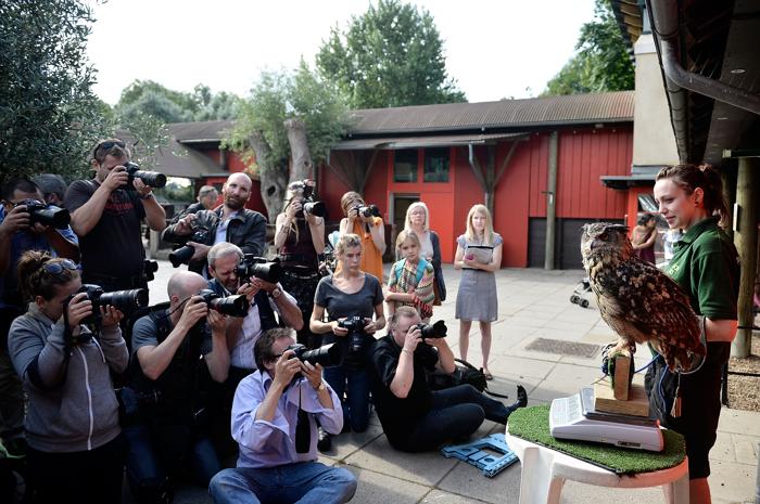 В Лондонском зоопарке прошло ежегодное взвешивание животных