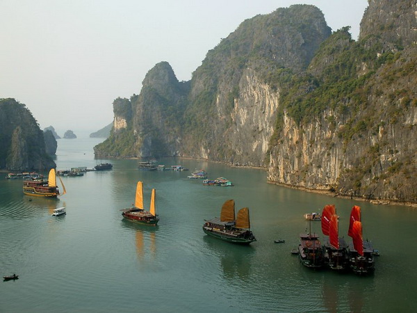 Бухта Халонг во Вьетнаме. Фото с сайта animalworld.com.ua