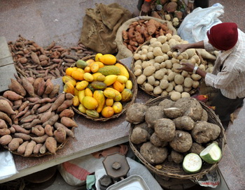 Овощи и картофель в  Подмосковье дешевле прошлогодних