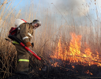 Пожарные локализовали крупнейший с начала 2012 года лесной пожар в Забайкалье