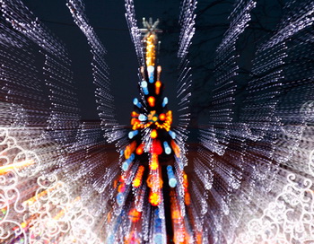Новогодняя елка. Фото РИА Новости
