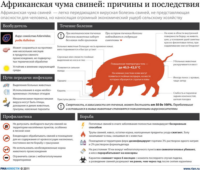 РФ избавится от АЧС, только переведя свинокомплексы на закрытый режим работы