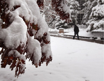 Снежный хаос в США: пять штатов тонут в снегу