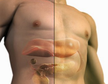 Всем известный антиоксидант – витамин Е может существенно улучшить состояние пациентов с жировой дистрофией печени. Фото: 3D4Medical.com/Getty Images