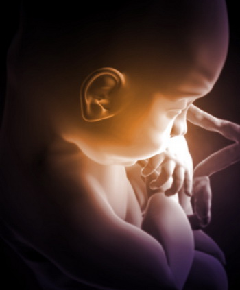 В Британии родился ребенок, лишенный крови. Фото: MedicalRF.com/Getty Images