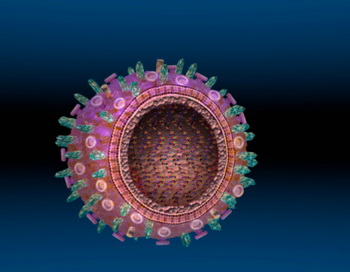 Новый вирус гриппа выявлен в США, сообщил Геннадий Онищенко