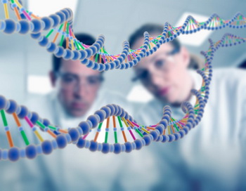 Анализ ДНК для оценки предрасположенности к заболеваниям малоинформативен, считают генетики из Квинсленда. Фото: Adam Gault/Getty Images News