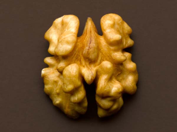 Грецкие орехи традиционно рассматриваются как пища для мозга, на что намекает их забавная форма. Фото: Still Images /Getty Images 