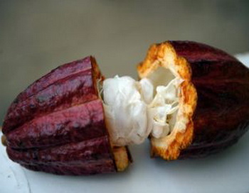 Антиоксиданты и флавоноиды - естественные пигменты в бобах какао, которые защищают организм от окислителей. Фото: Yuri Cortez/AFP/Getty Images 