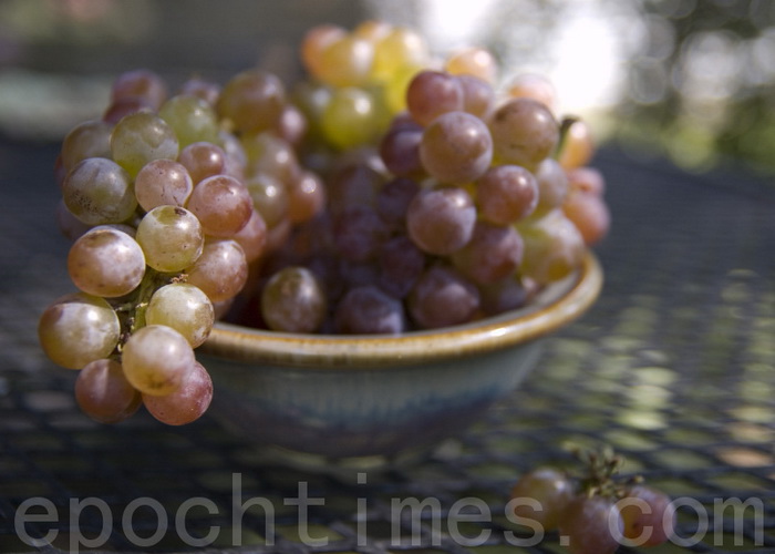Учёные выявили новые целебные свойства винограда