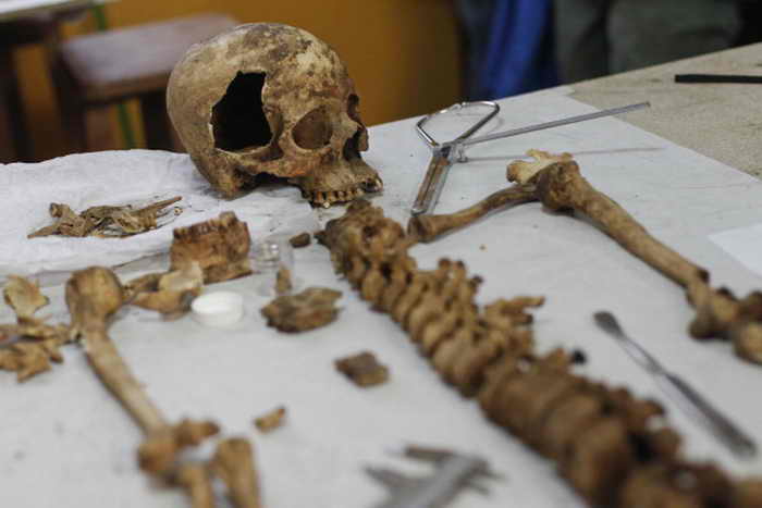 Останки жертвоприношений найдены в Перу