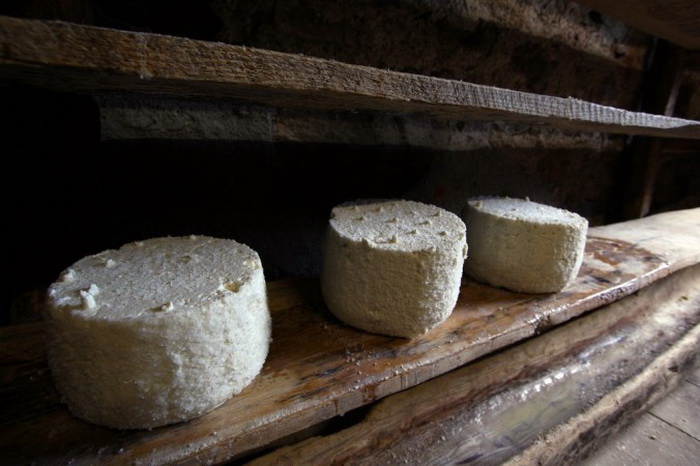 Пять самых дорогих видов сыра в мире