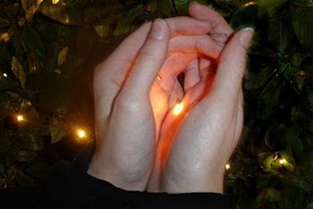 Светлячок - это дитя света, но светит только ночью.  Фото с сайта blogspot.com