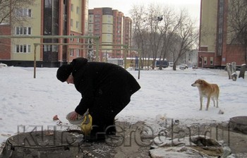 Елена Полянкина из Бердска кормит 13 бродячих собак  Фото с сайта https://www.kurer-sreda.ru/2012/01/11/57536