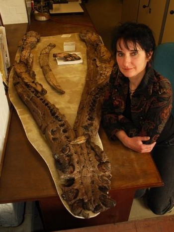 Доктор Джудит Сэйсон рядом с нижней челюстью плезиозавра. 