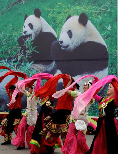 Гигантские панды (Tuan Tuan) и (Yuan Yuan). Фото:  SAM YEH/AFP/Getty Images