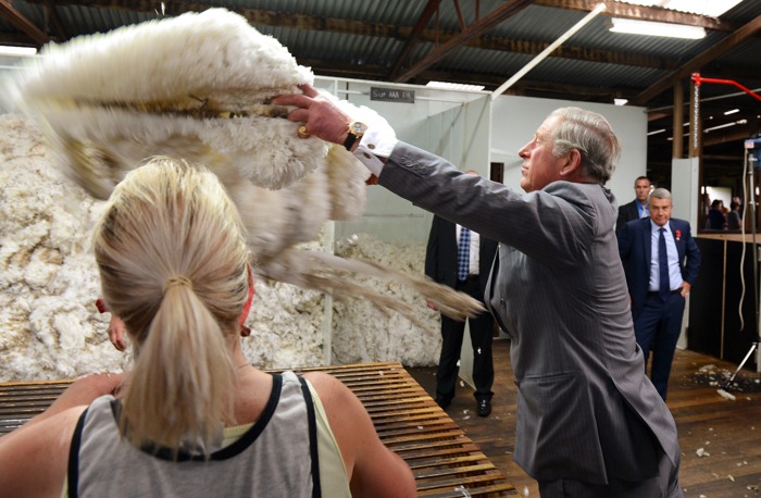 Принц Чарльз в Австралии посетил ферму по производству шерсти