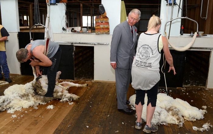 Принц Чарльз в Австралии посетил ферму по производству шерсти