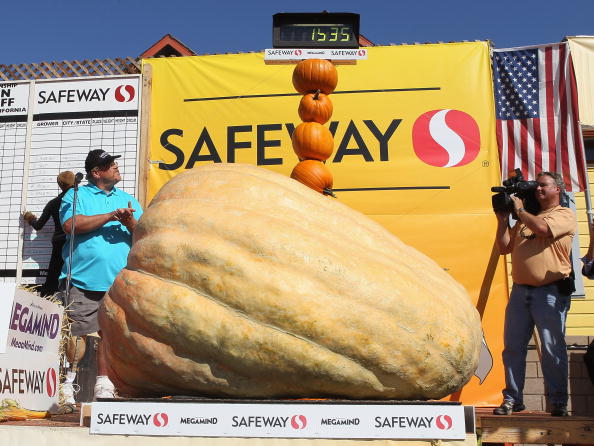 Самая большая тыква, выставленная для обозрения на Ежегодном тыквенном чемпионате мира, весит 696 кг