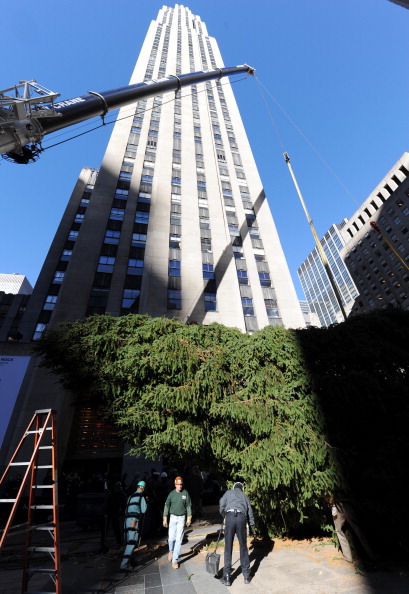 Рождественская елка устанавливается в  Рокфеллер-центре в Нью-Йорке