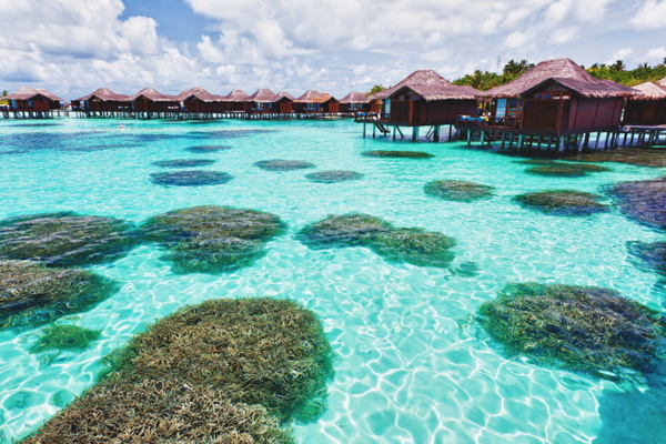 Мальдивские атоллы — жемчужины в Индийском океане