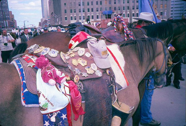 Церемониальная  лошадь: лошадь без всадника с седлом, покрытым  значками и памятными сувенирами,  подаренными людьми  во время поездки по всей Америке от штата Оклахома до Всемирного торгового центра. Фото с сайта  theepochtimes.com