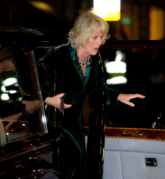 Лимузин принца Чарльза и его супруги Камиллы был атакован в Лондоне протестующими студентами
