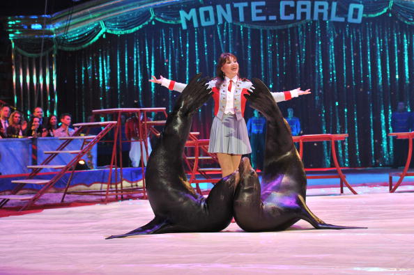 Фестиваль цирка в Монте-Карло. Фото: Gaitan Lucie/Pool/Getty Images