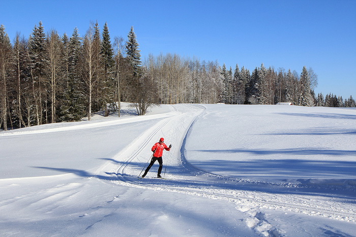 Многие финны катаются на лыжах, занимаются пешими прогулками, рыбачат, то есть много времени проводят на воздухе, что позитивно сказывается на их самочувствии. Фото: VisitLakeland/flickr.com