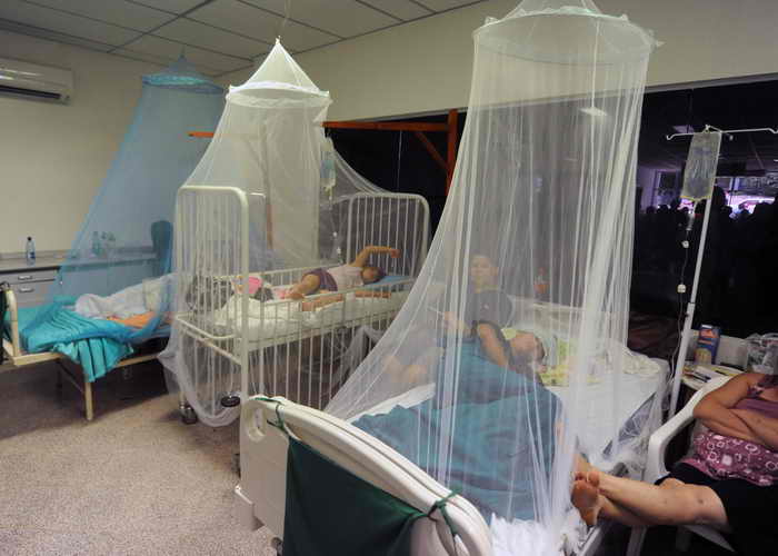 В Парагвае число жертв лихорадки денге составило более 240 человек. Фото: NORBERTO DUARTE/AFP/Getty Images