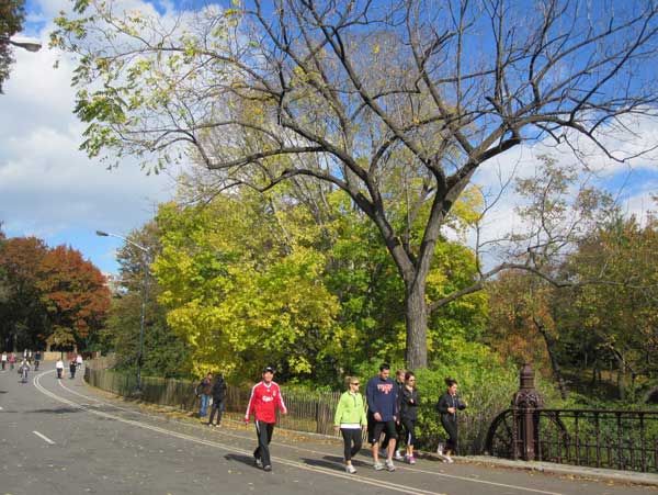 Центральный парк Нью-Йорка в конце золотой осени