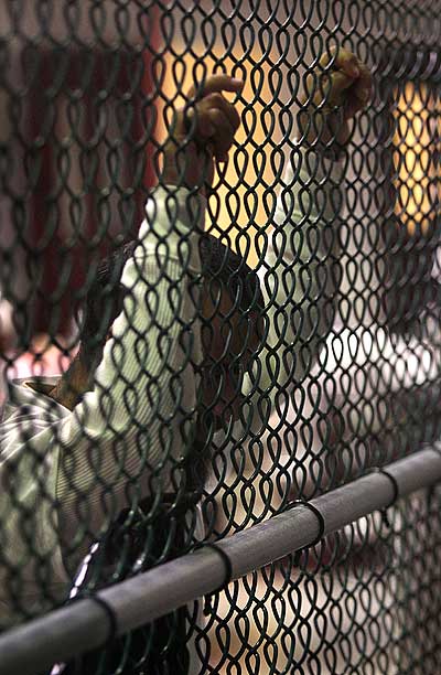 Гуантанамо (Куба). Тюрьма продолжает быть действующей спустя год после заявления Обамы об её закрытии. Фото:  PAUL J. RICHARDS/AFP /Getty Images