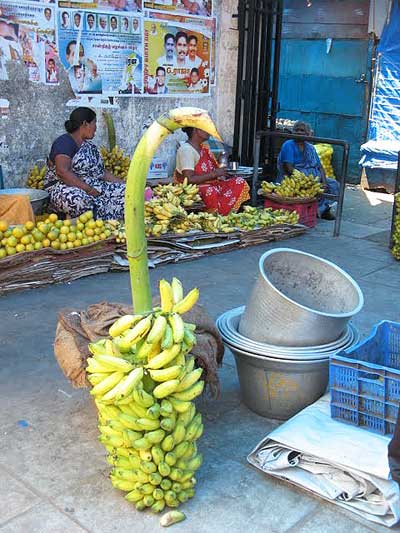 Бананы – на дереве и на базаре.  Фото: Татьяна Виноградова/Великая Эпоха