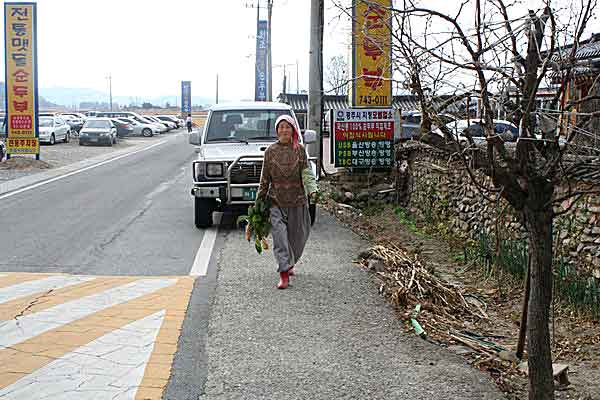 Южная Корея за границами мегаполиса. Фотообзор