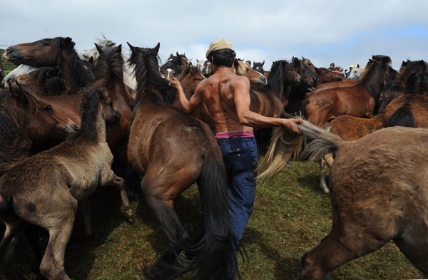 Нелегко приручить дикую лошадь. Фото: Denis Deule/Getty Images