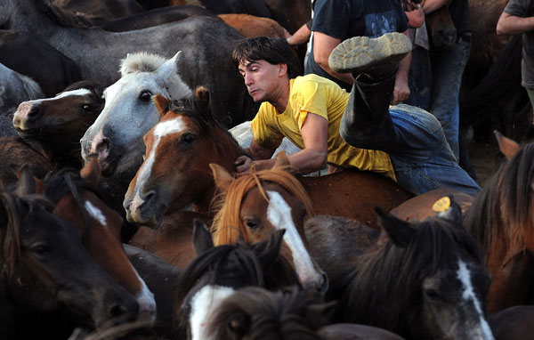 Нелегко приручить дикую лошадь. Фото: Denis Deule/Getty Images