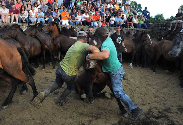 За приручением диких лошадей в загоне наблюдают зрители. Фото: Denis Deule/Getty Images