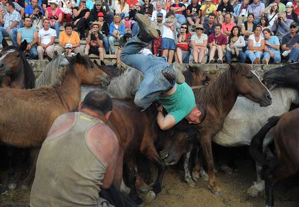 За приручением диких лошадей в загоне наблюдают зрители.  Фото: Denis Deule/Getty Images