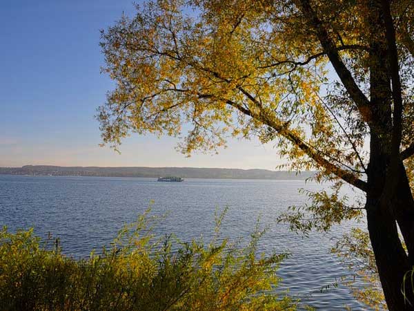 Осенние этюды у озера